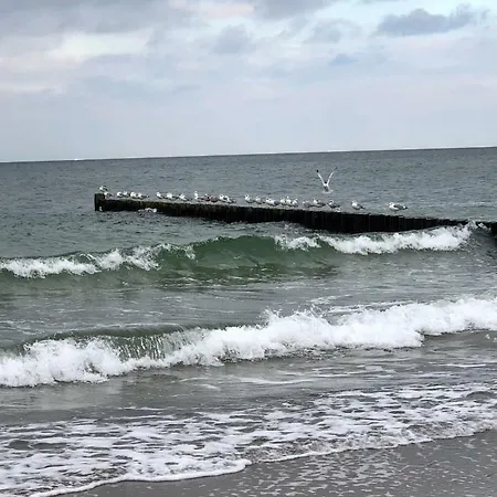 Apartment Ostsee-fewo-graal-muritz-kustenliebe - #119477
